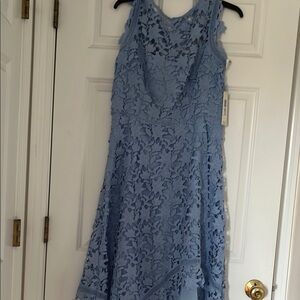Elegant Blue Lace Dress